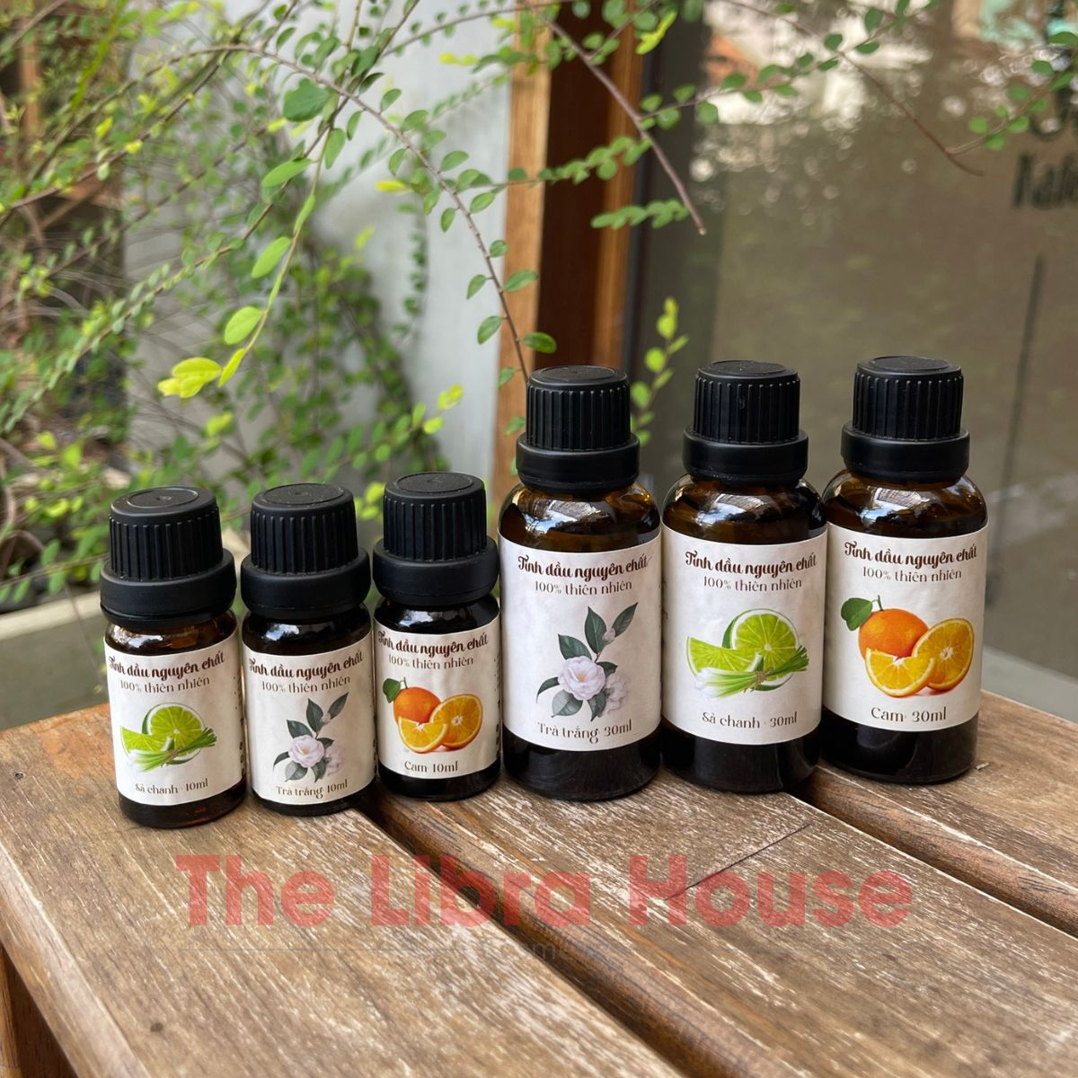 Tinh dầu xông chanh sả 5 Tinh dầu xông chanh sả 5